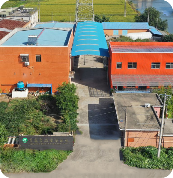 Xinghua Maosheng Food Co. ، Ltd.