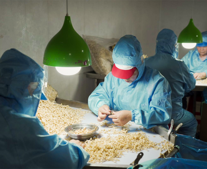 Xinghua Maosheng Food Co. ، Ltd.