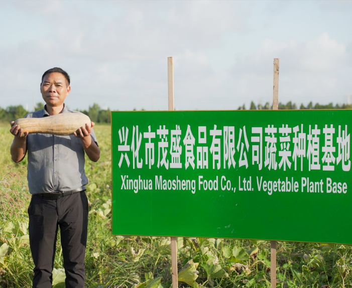 Xinghua Maosheng Food Co. ، Ltd.