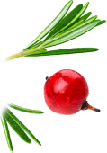 Xinghua Maosheng Food Co. ، Ltd.